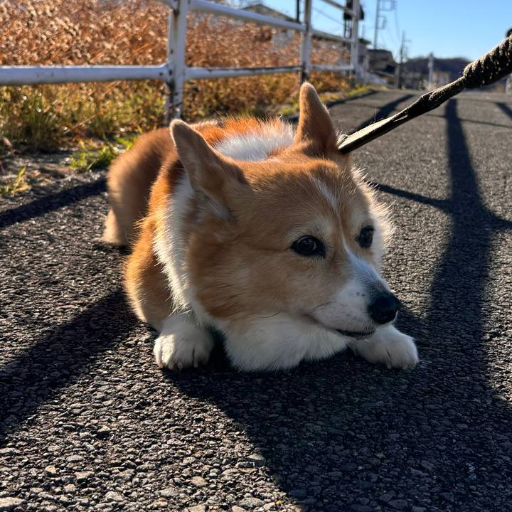 D15e013c 636c 4e1b 9377 2c0dcccea739 1766714291841