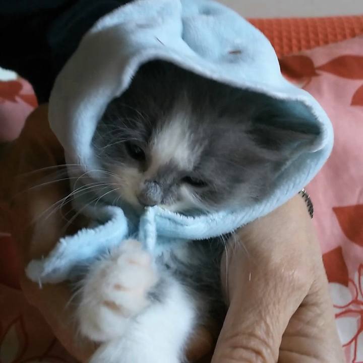 D15e0d92 ff55 4f72 a6a7 6ade407bc16a 1558655651163