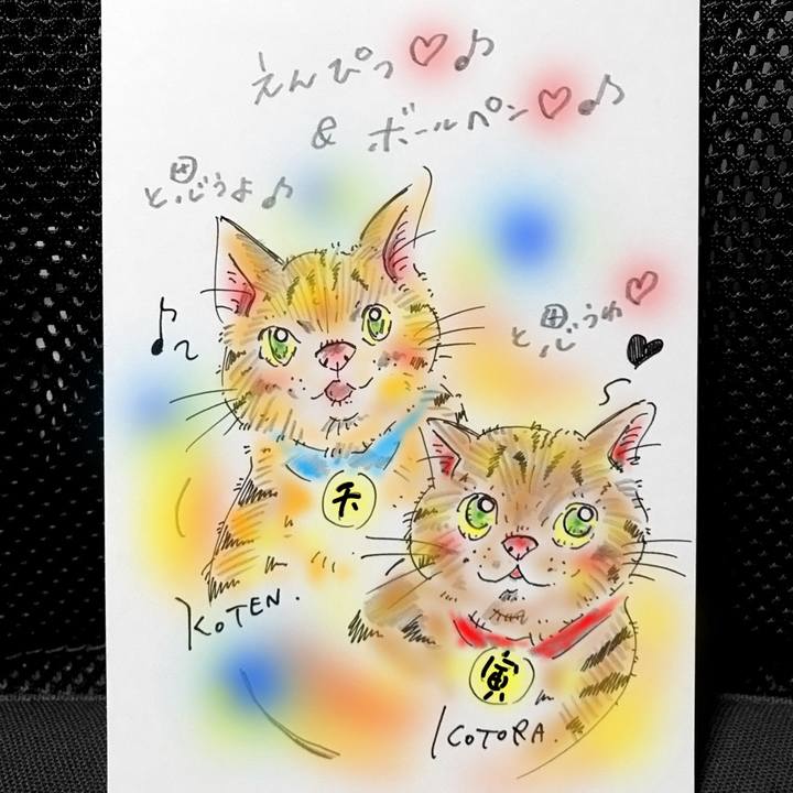 D15e1973 dbce 45ba 9fce bfead30e7f02 1567520017500