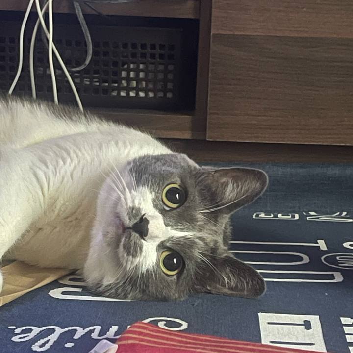 D15e31b1 6275 4baa a7ea 4eb3f9d378b4 1719526808608