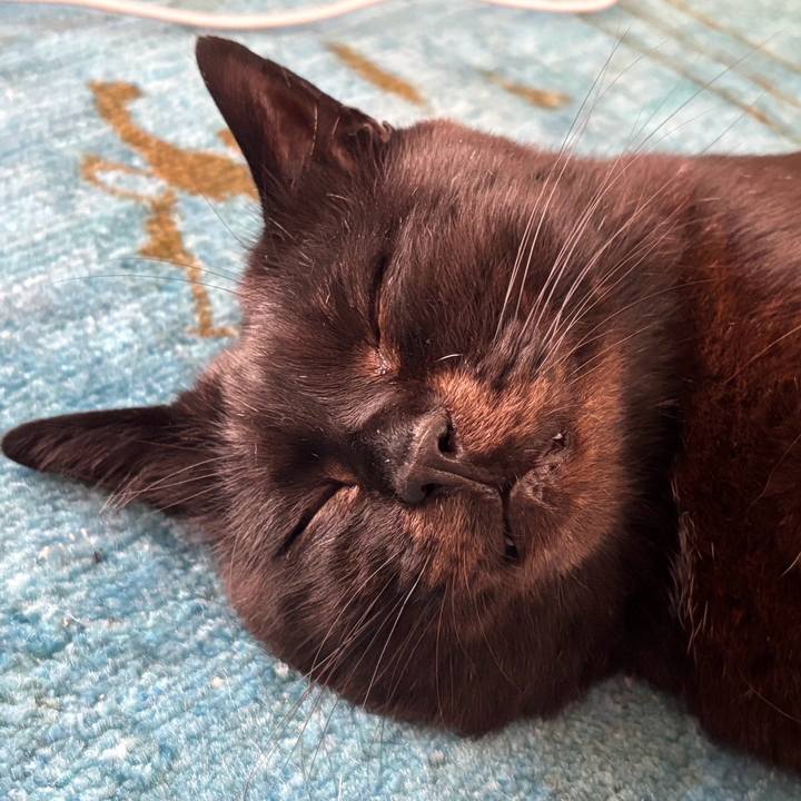 D15e59e7 7d5d 4ab0 a93a acd51438ac3f 1749763301164