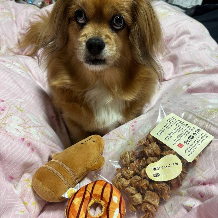 D15e6b9f 45cc 4d0c ac97 79b701b4e96a 1677540880289