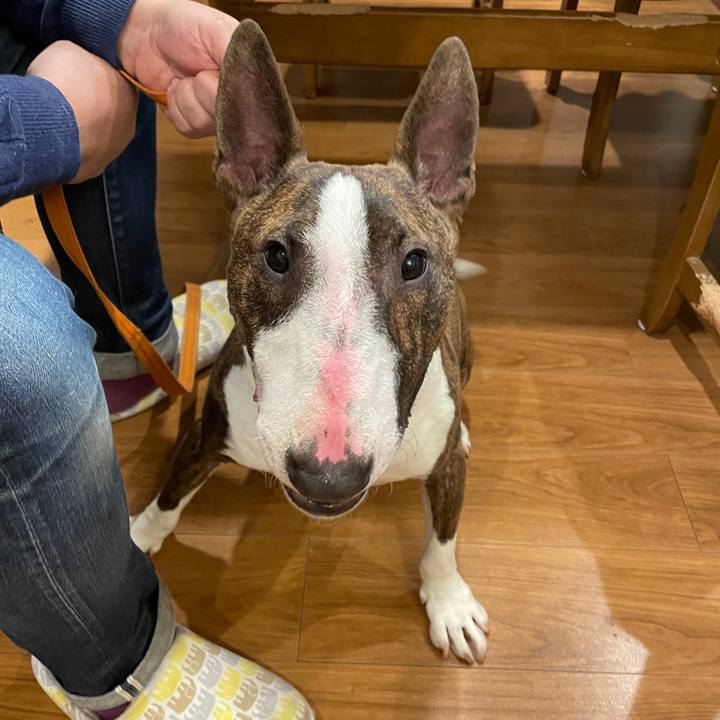 D15e8701 39c0 48ce 9229 53043122d383 1611974056349