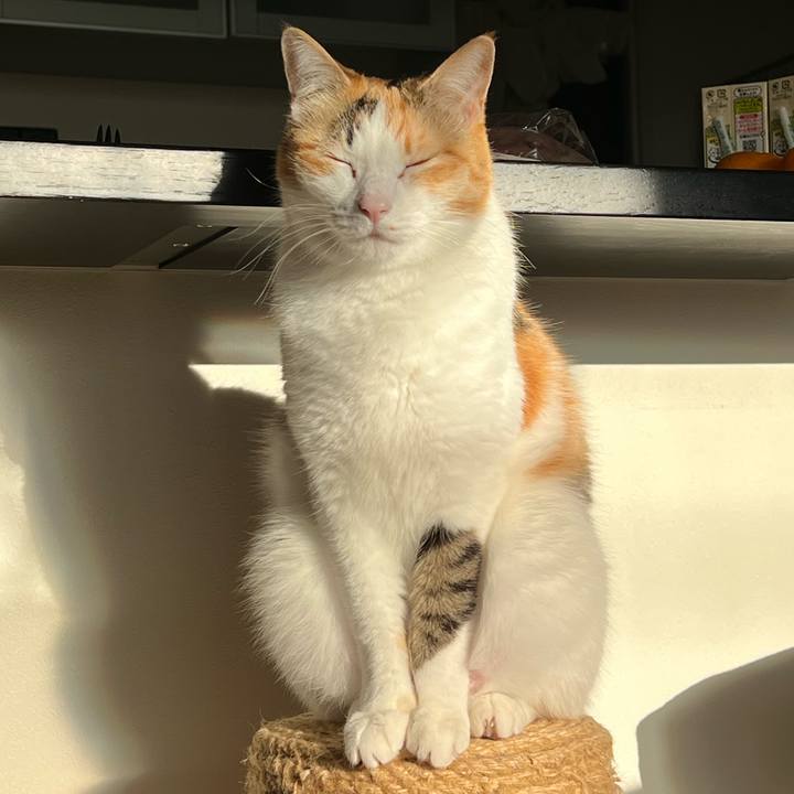 D15eb4fd 9302 4990 8633 21c53475b455 1766877638665