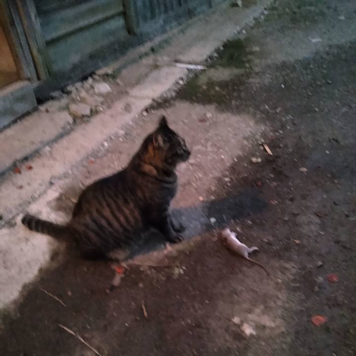 D15eb68f f1b5 4761 87ad 196dc363be86 1664787275463