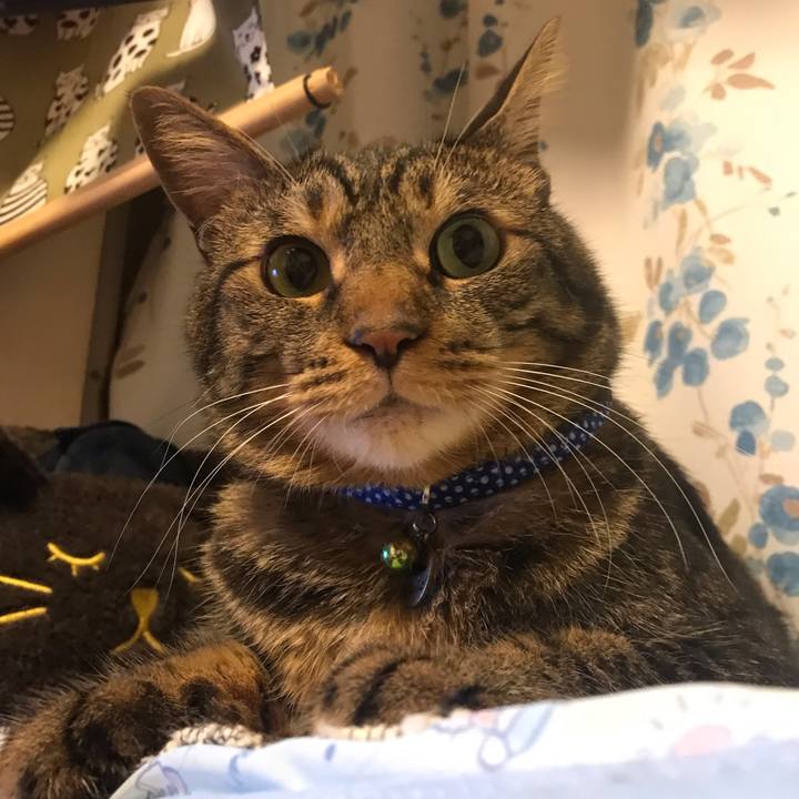 D15ec0ee 3997 4916 b7ee 042e411e73e3 1633354194192