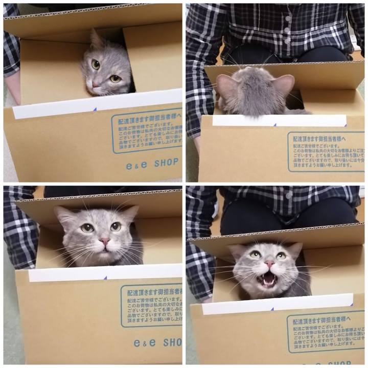 D15ee784 5c80 474c 86c8 26a4e32189eb 1589680357982