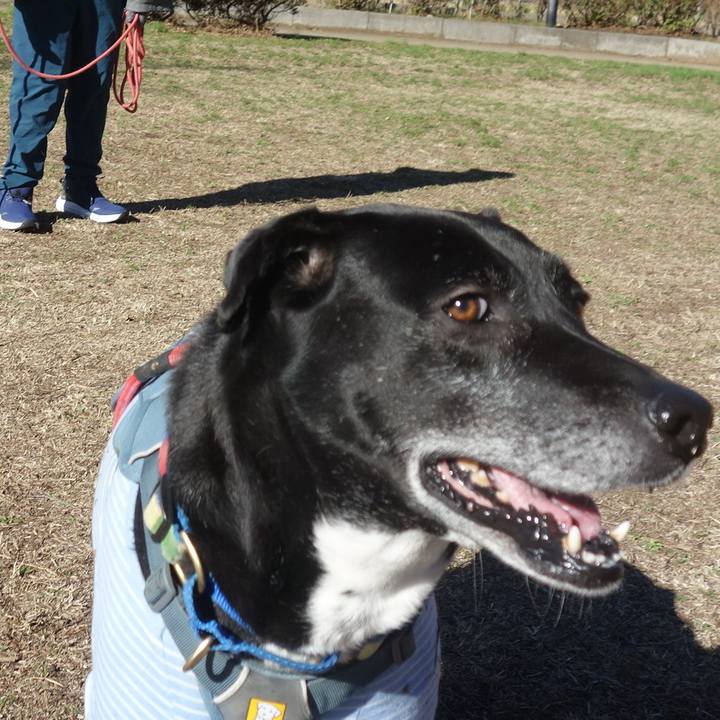 D15f3b46 5d50 4a3c 873d 3b3507958175 1708997837316