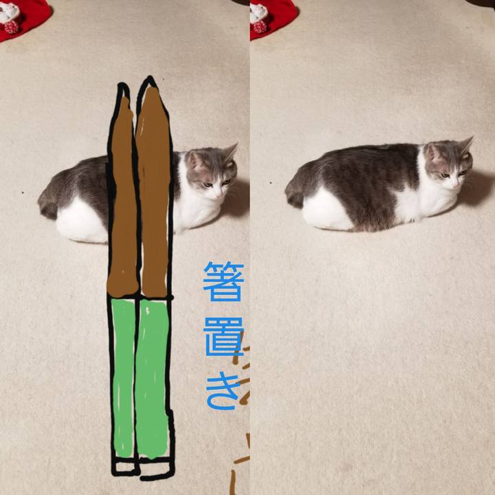 D15fb9a8 bd0c 4120 ba99 9eb80d5f88a6 1639393781941