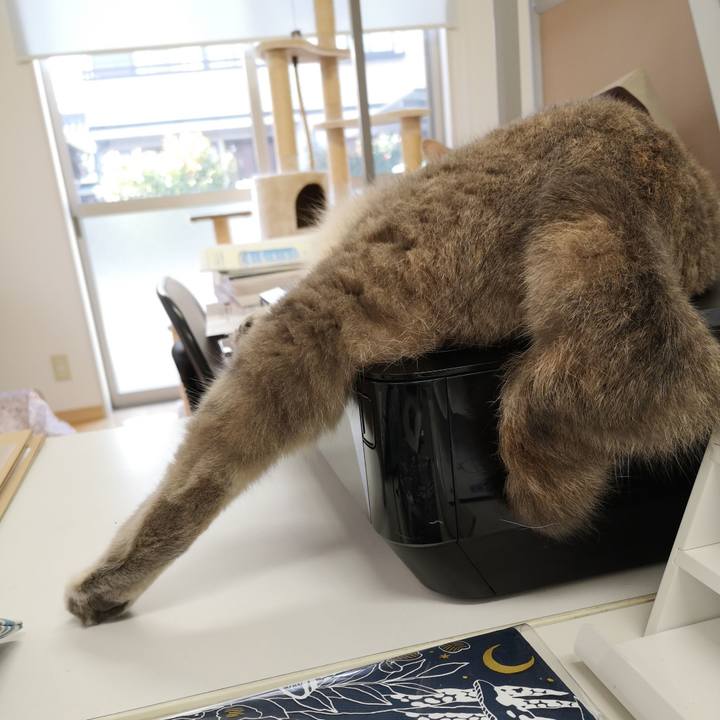 D15fd8d2 4663 4caf affe 44989fe7b2f0 1571126724687