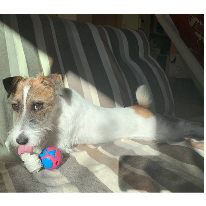 D15fe786 5dc4 4d6e b384 f2b1110943fc 1573517564940