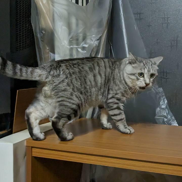 D15fefd4 c19e 4f71 a9c8 6b0231cfa6c0 1700656668953