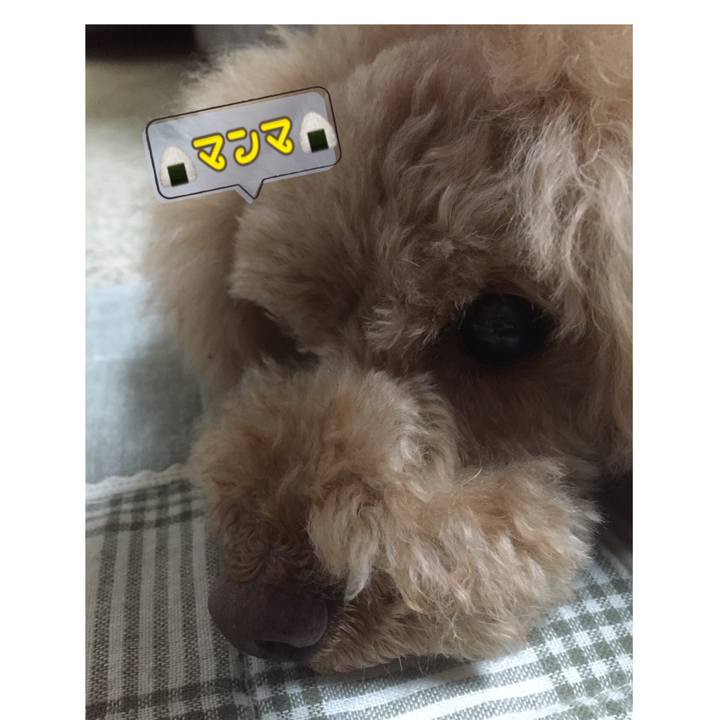 D16008ba ff90 4492 a05a 36e7c67a4a31 1528799691822