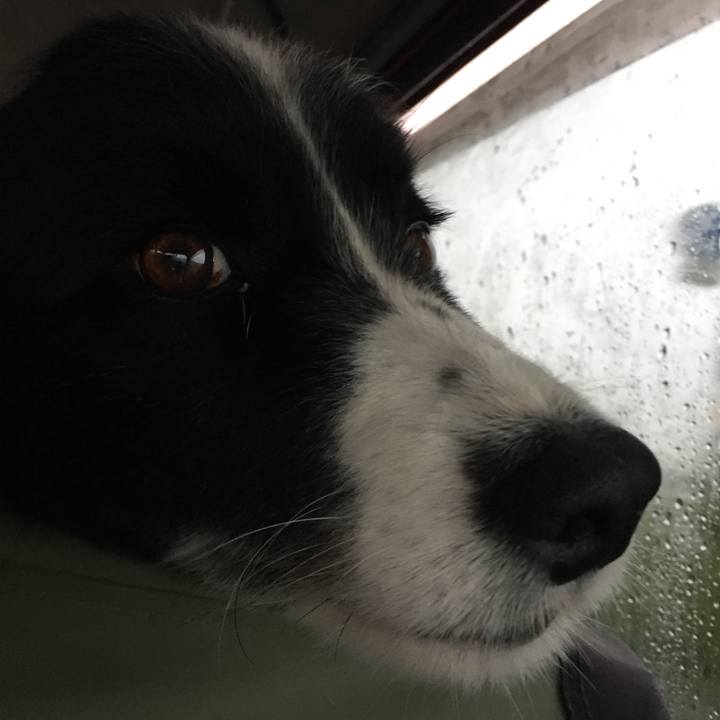 D1601eee 7e37 47ce 806a 8bcc99510990 1589062219927