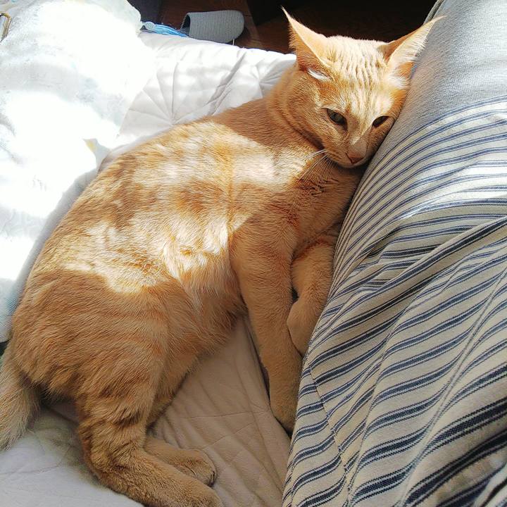 D1602f76 f0b1 4995 a738 eb4ec7f2ea06 1609561216872