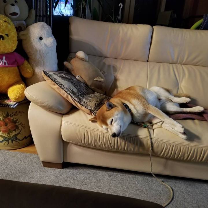 D1608689 23aa 48dc 888e a1036313bb2a 1571052595563