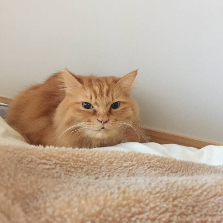 D1608c9c 51cb 4c23 b06e 3d275d58e271 1576017835198