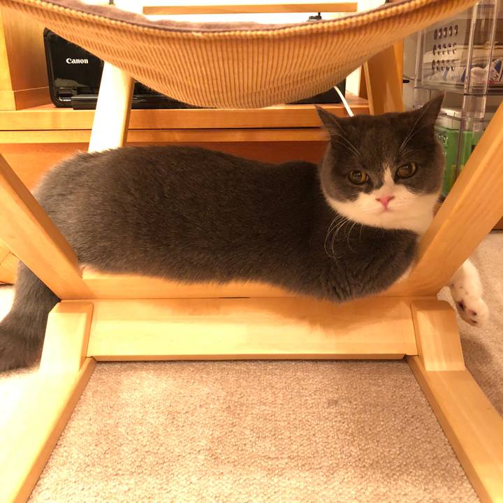 D160b75b 6bc0 4fb9 bbef 4641268966dd 1539089122296