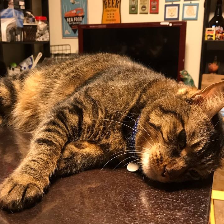 D160c8cf 7271 4cc7 a154 2c6a07dd7787 1639660826859