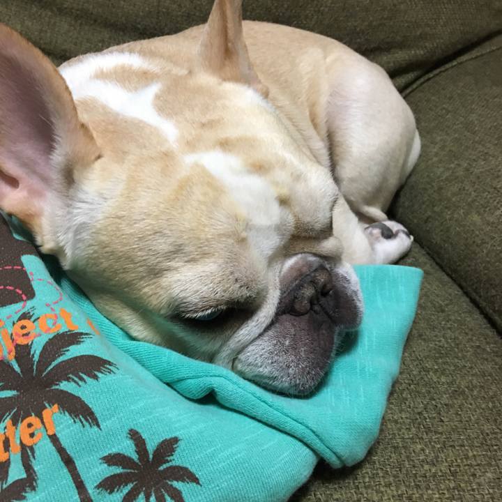 D161226e b5b6 4e5a b868 cef6c6832338 1509973795175