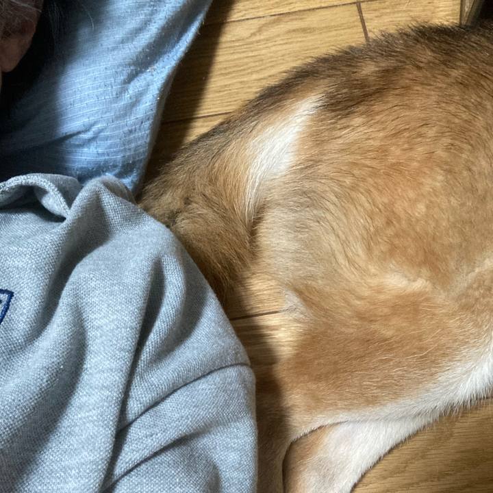 D1612dd7 cb89 40d8 9ef7 7d282a36b309 1756273552292