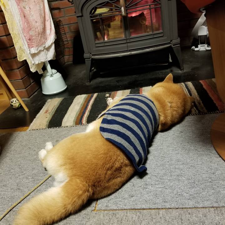 D161654e c09e 42dc b75c b0f1422c96a5 1575106442159