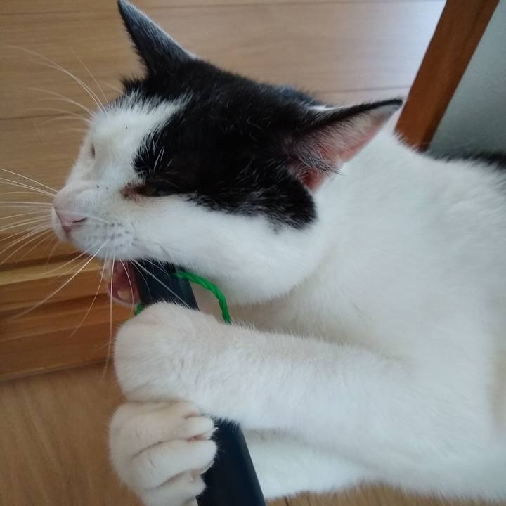 D1617a76 a26f 45fc 9faf 254ea5383913 1558772609584