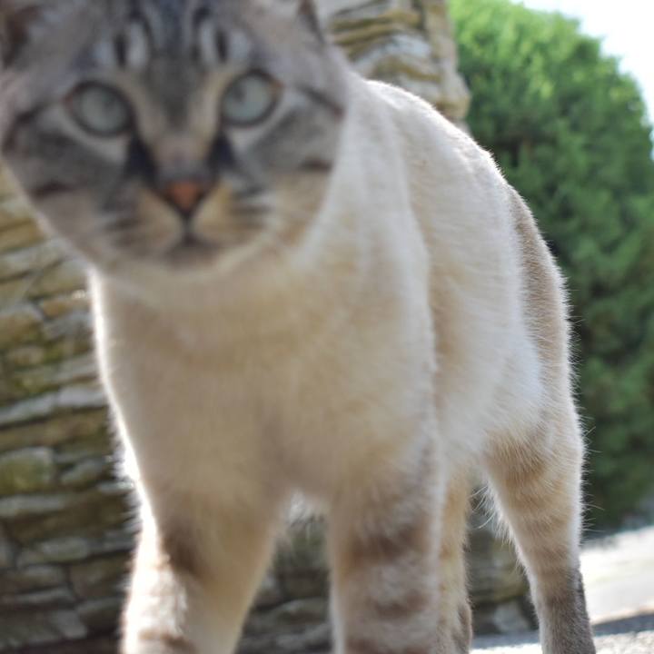 D161b615 9ccc 4ab3 b574 2741feda758b 1525485647456