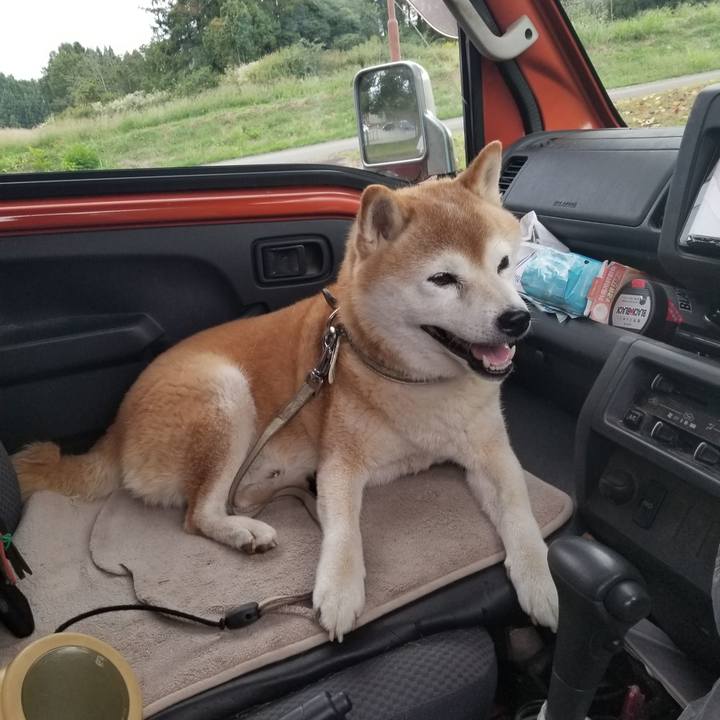 D161c8a6 be1d 46c5 8ab5 7b2a029d748f 1696144914916