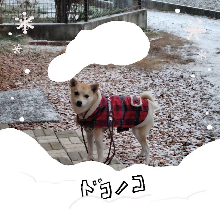 D161d175 48a9 4407 81b8 a9c342a37dcf 1771840294740