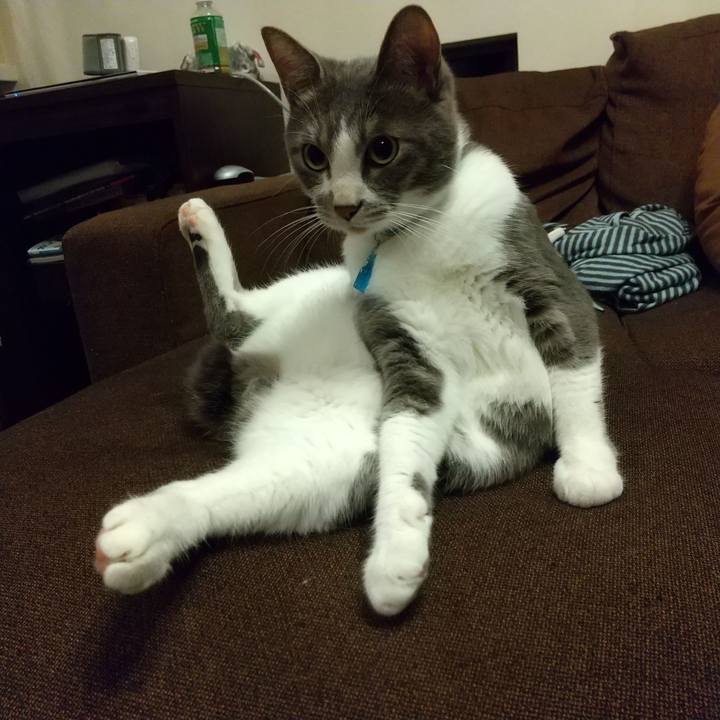 D161e0e4 011b 488b bd8c 9b943993bc9e 1621947314106