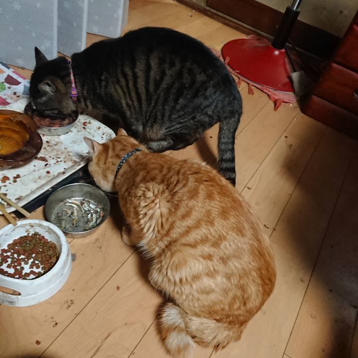 D161e5c3 6a48 454d a84b e465312f4930 1650014627719