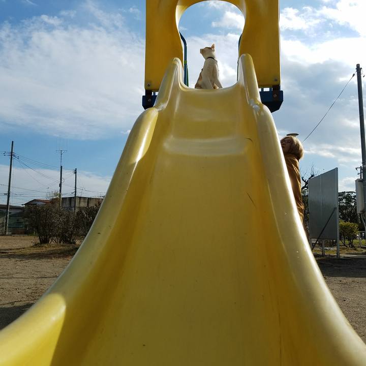 D161e983 2b43 461c 8d72 904330163785 1511692758690