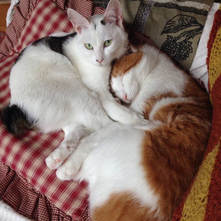 D1622177 f971 42b1 83cd b556c92ee6d7 1509017160865