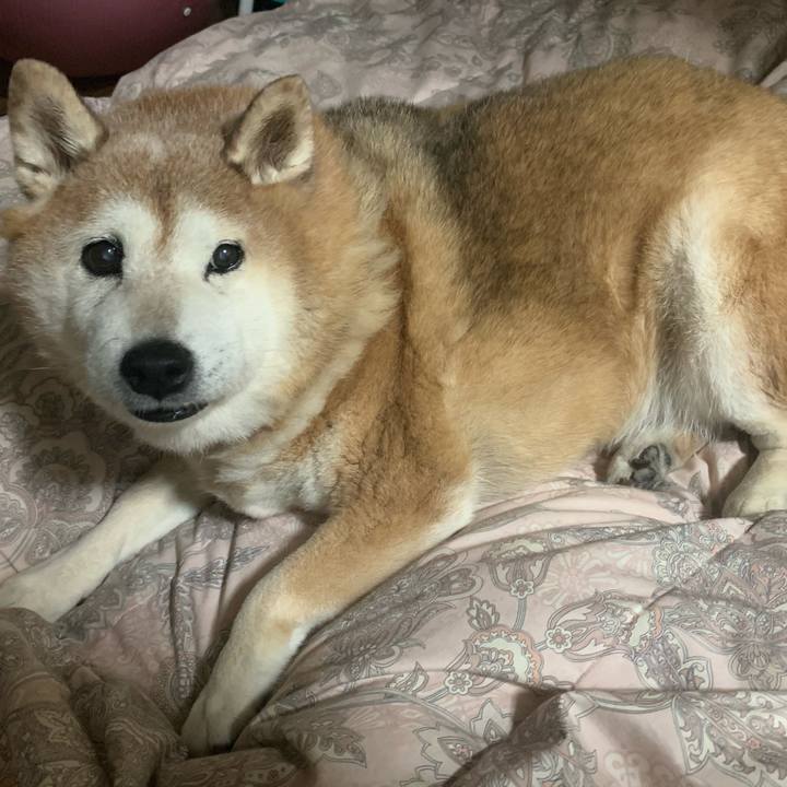 D1623c73 0280 4b22 af5a 1d8ecb2cba86 1615552822119