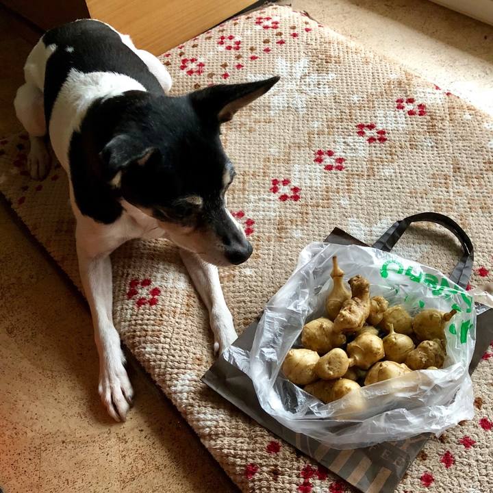 D1623f0e b436 46f2 b92e 16707f4d1612 1551309543455