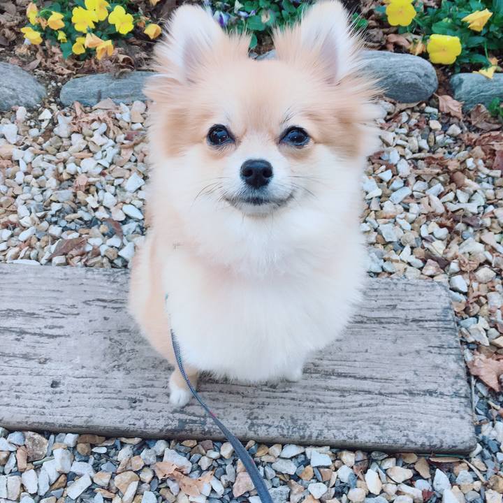 D16268e9 121a 4728 9661 79001200a143 1519432733375