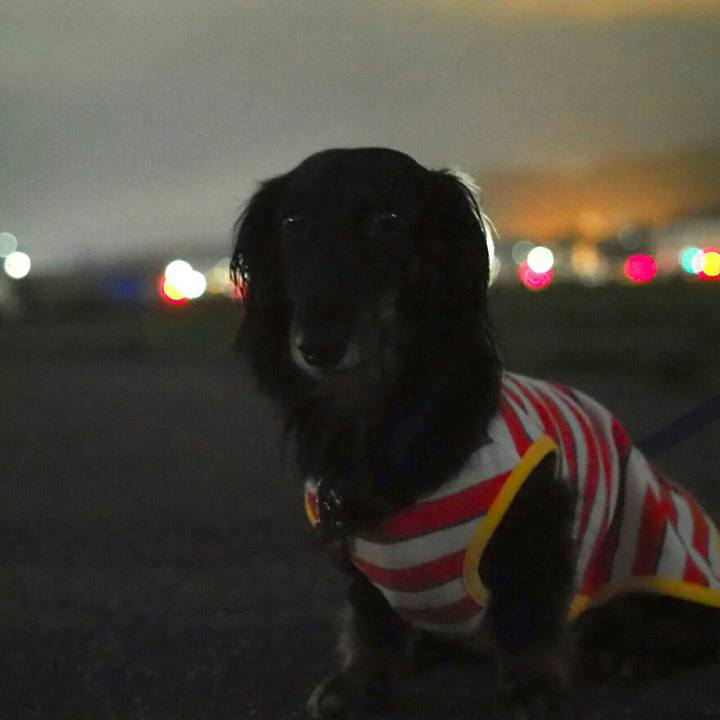 D1627b5a 30a7 4314 ab8d 00461be3c8f4 1593865069759