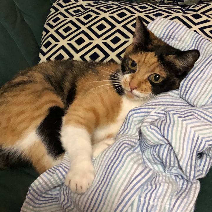 D16292b8 208a 4b58 b9a7 092c27e020cd 1531834155566