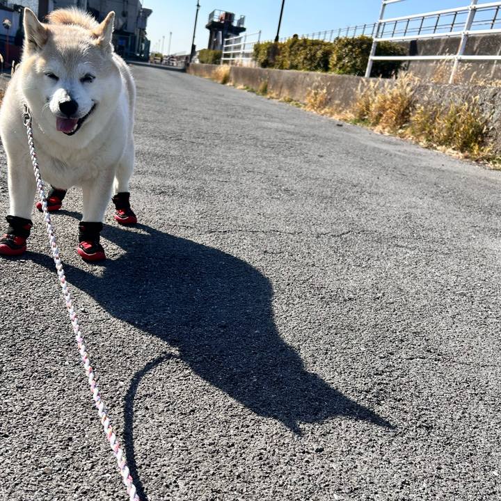 D162d65a adcb 4611 ab4d 4b18e2f33223 1739597378243