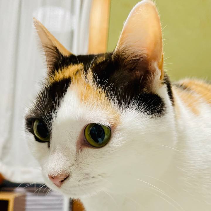 D162de19 0f95 455d b700 c0111caaee89 1608352055755