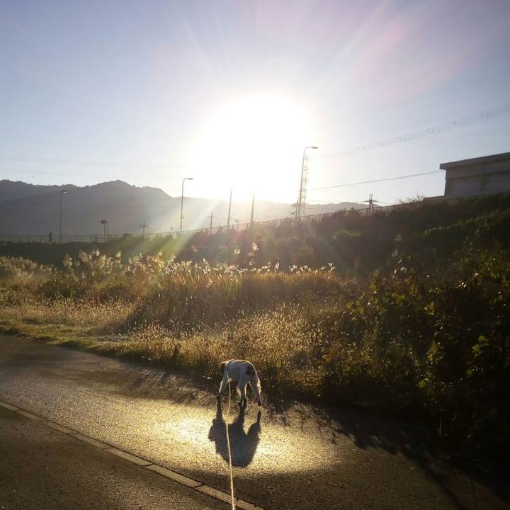 D162fda3 c530 4949 b8cb 0535fa32a5b9 1511241482741