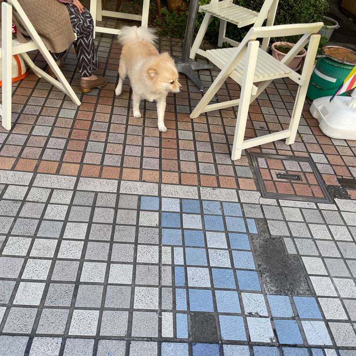 D163327b 6c45 4887 ad13 ff2fc8cfdaab 1667057754663