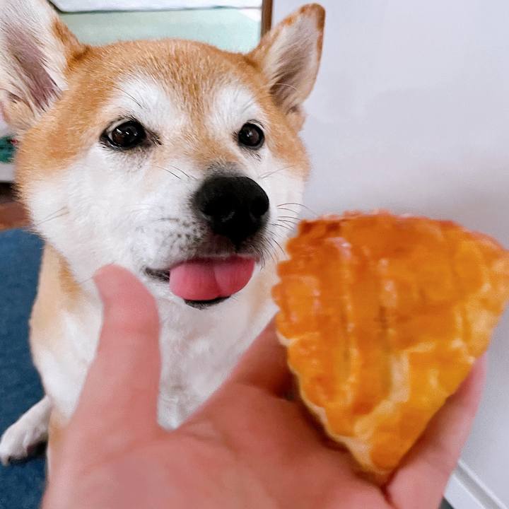 D1637590 b18c 4abc a810 da915388d4d7 1721106900537