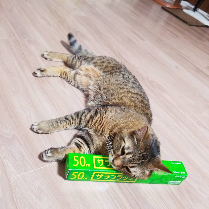 D1638f22 4362 4e30 8d34 6b57d9caba5b 1584967175057