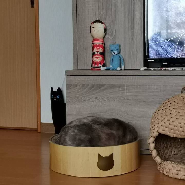 D1639abc 417f 4905 8351 2e8c8287950f 1606448595033