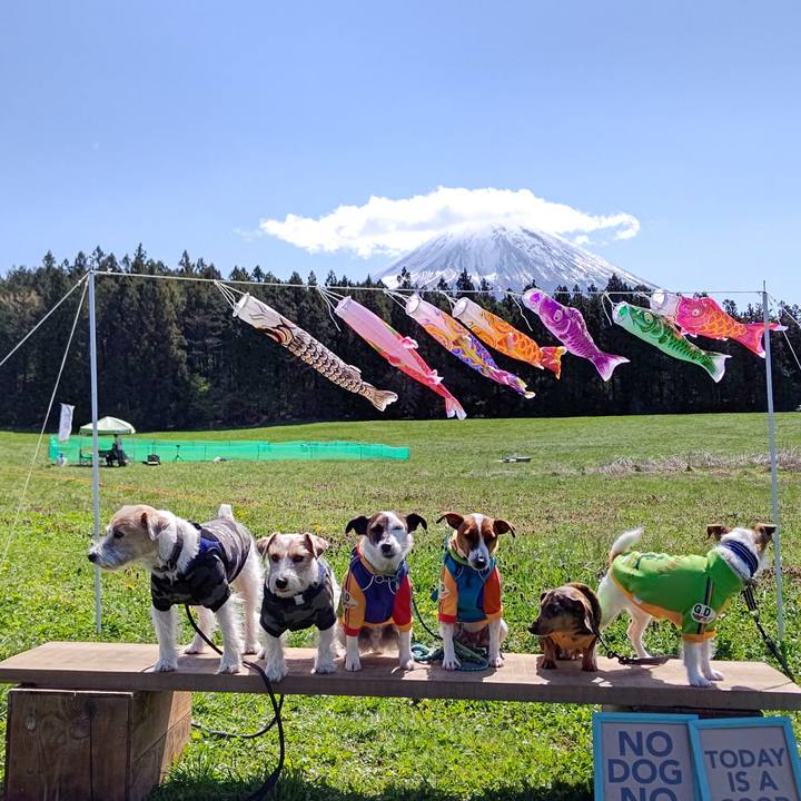 D163ac2b de2a 444f a6f7 bb72edd6f7de 1620222144936