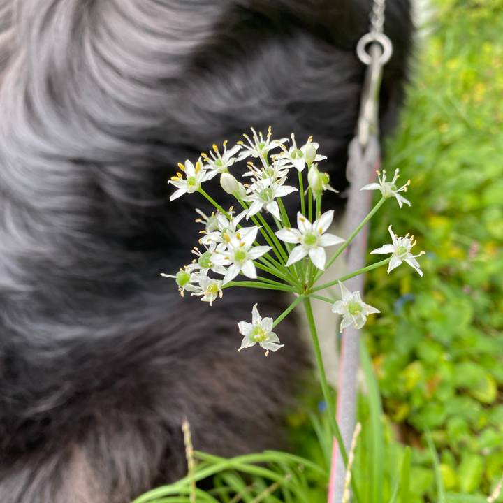 D163fc6b bfe5 4a35 a1eb cc241ef73879 1602380777272