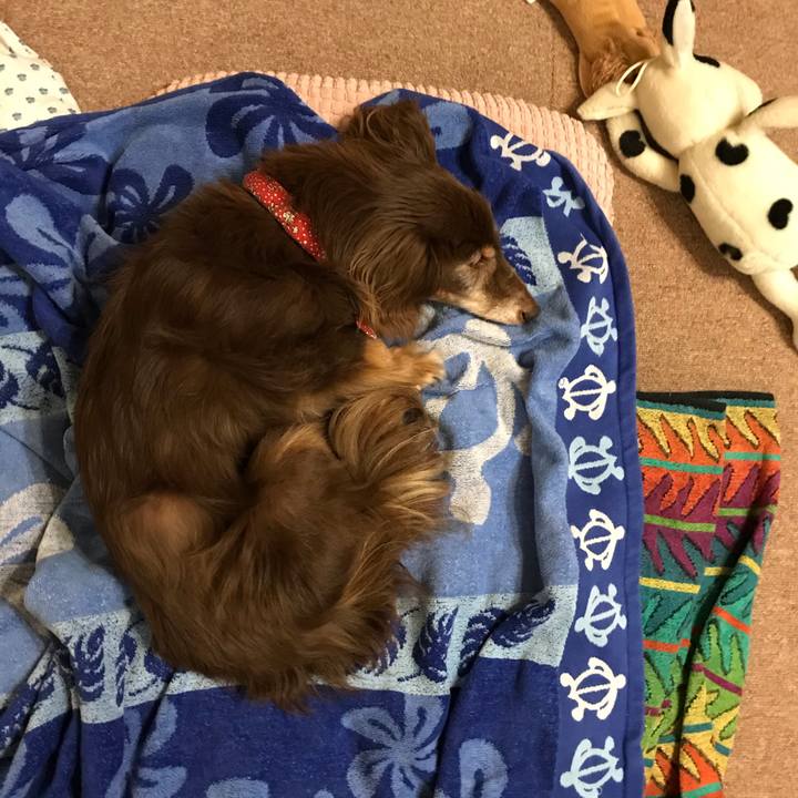 D16433c9 5cd1 4d8b a848 51694608affe 1598270545731