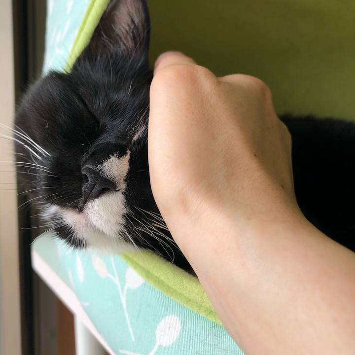 D1644345 78ff 46fd a516 d419338f163b 1531777577472